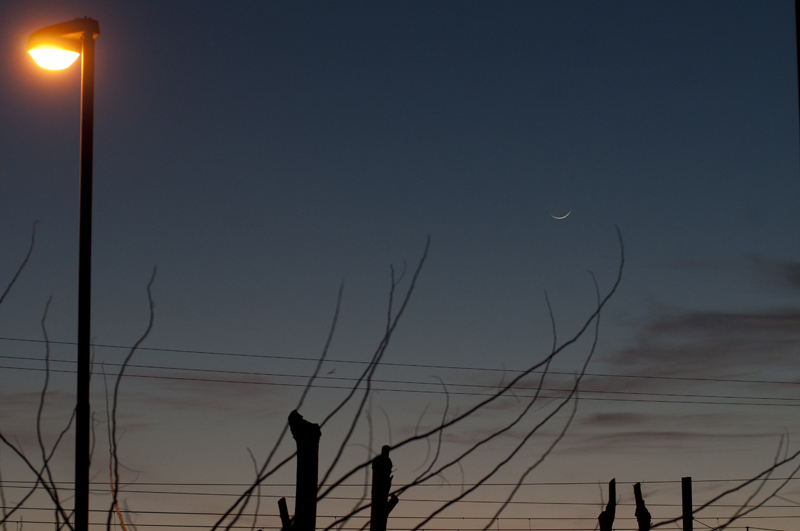 Luna a barchetta